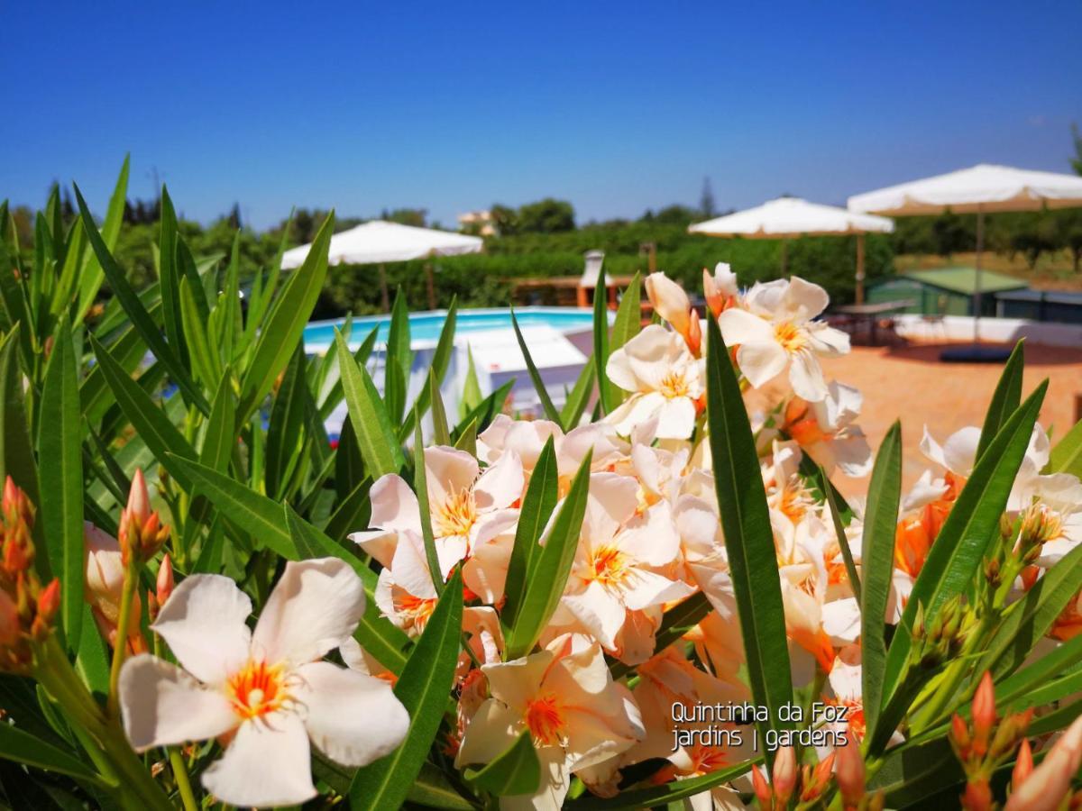 Quintinha Da Foz Guest House Sao Pedro  Dış mekan fotoğraf