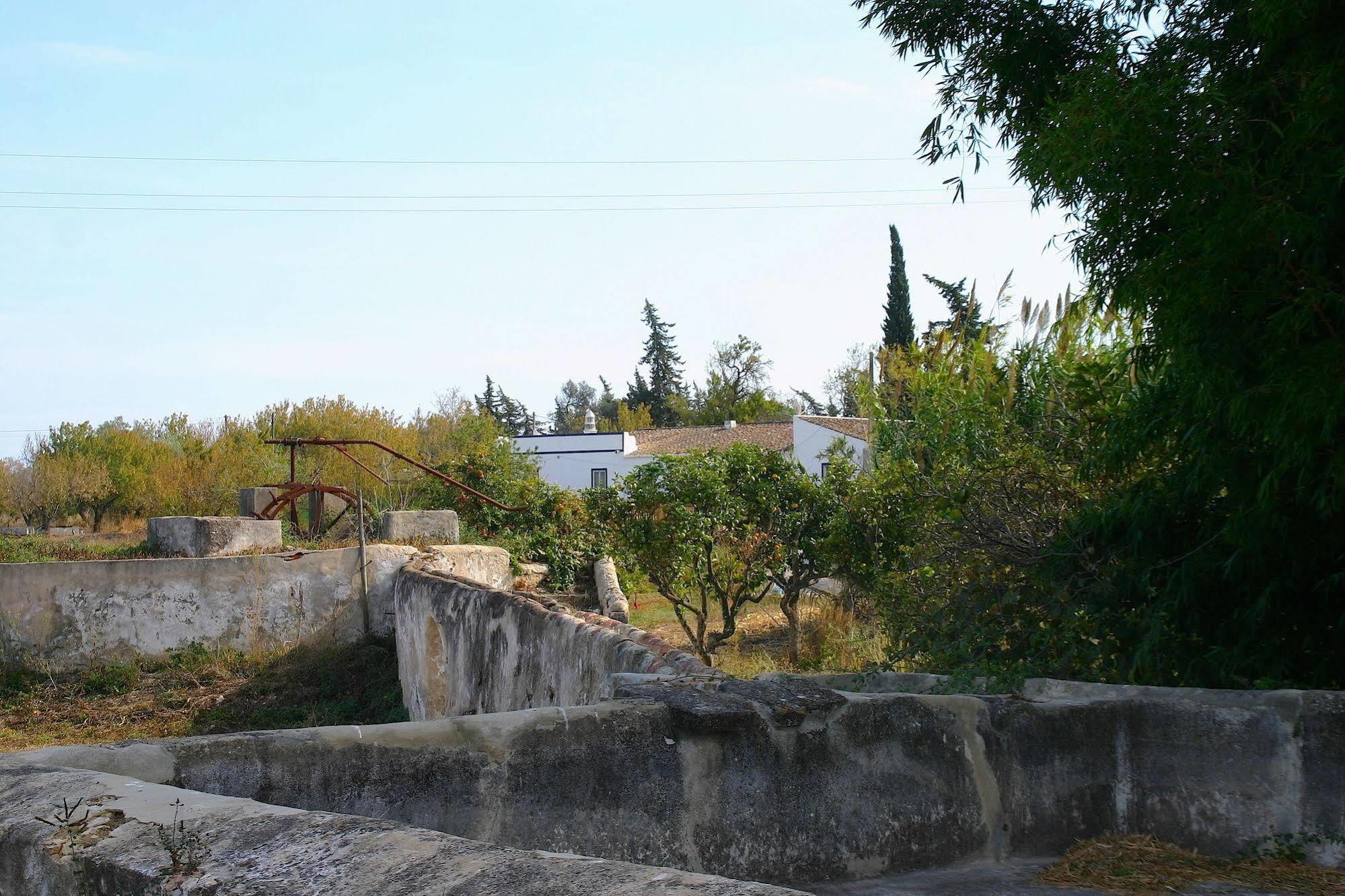 Quintinha Da Foz Guest House Sao Pedro  Dış mekan fotoğraf
